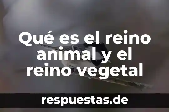 Que es el material de recina 3 Qué es el reino animal y el reino vegetal