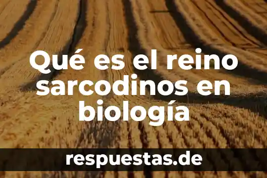Que es el reino anidas y ejemplos 6 Qué es el reino sarcodinos en biología