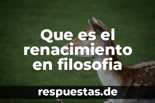 Que es el renacimiento politico filosofía 8 Que es el renacimiento en filosofia