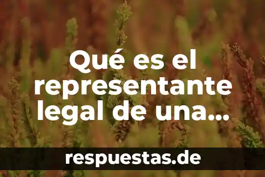 Que es representante tecnico comercial cunato gana 3 Qué es el representante legal de una sociedad