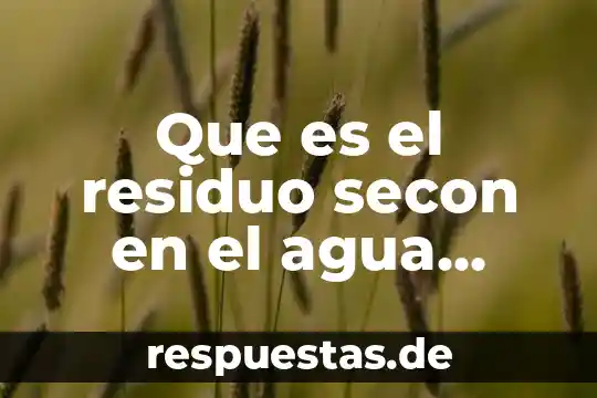 Qué es un periodo de acompañamiento en una planta residual 3 Que es el residuo secon en el agua residual