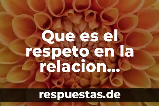 Que es el valor del respeto en la escuela largo 8 Que es el respeto en la relacion afectiva