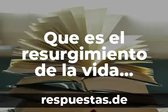Qué es el mandala de la vida 8 Que es el resurgimiento de la vida urbana