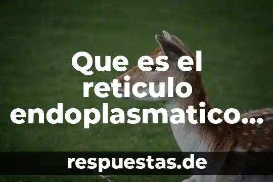 ¿Qué es la célula animal? 6 Que es el reticulo endoplasmatico en la celula vegetal