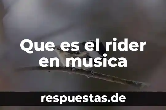 Qué es música y arte 6 Que es el rider en musica