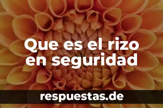 Que es existencia de seguridad 8 Que es el rizo en seguridad