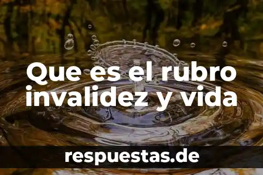 Vida que es filosofía 7 Que es el rubro invalidez y vida