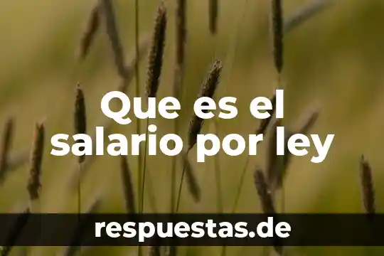 Salario mensual entre las integrantes de tu familia que es 6 Que es el salario por ley