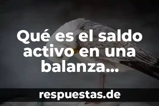 Concepto de que es una carta formal 3 QuƩ es el saldo activo en una balanza comercial