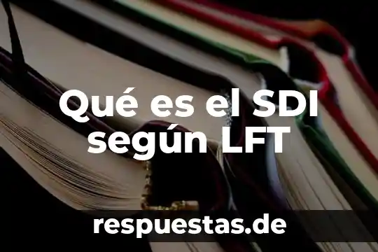 Qué es la identidad según gabriel garcía marquéz 8 Qué es el SDI según LFT