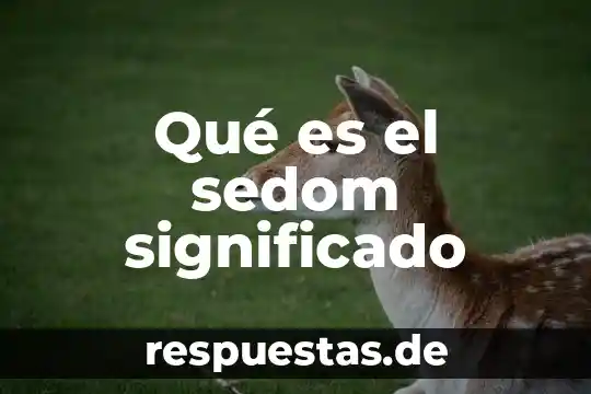 Que es investigacion cientifica significado 7 Qué es el sedom significado