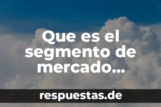 Que es segmento en fisica 5 Que es el segmento de mercado empresarial