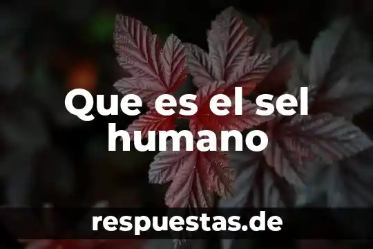 Que es ser humano altruista 6 Que es el sel humano