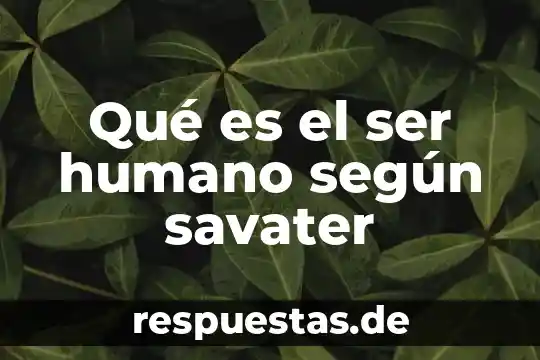 Segun alguien que es una constitucion 8 Qué es el ser humano según savater
