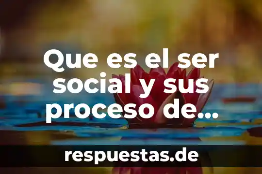Que es socializacion metodica 4 Que es el ser social y sus proceso de socialización