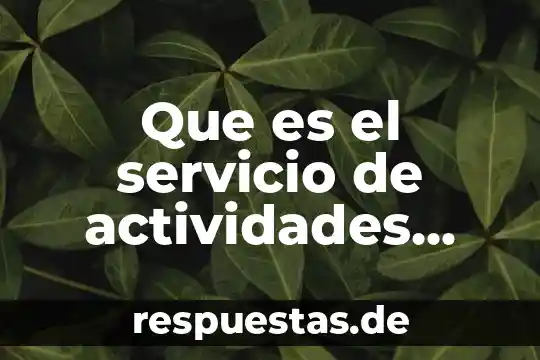 Qué es el servicio de urgencias concepto 6 Que es el servicio de actividades recreativas