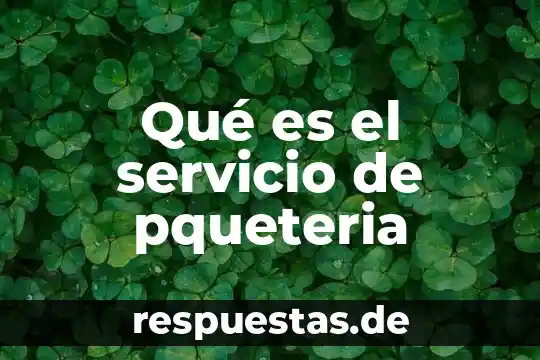 Qué es el servicio de pqueteria