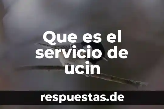 Qué es el servicio de urgencias concepto 3 Que es el servicio de ucin