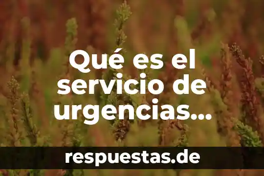 Qué es la distribución de un servicio 7 Qué es el servicio de urgencias concepto