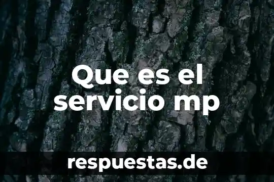 Qué es una declaración lógica 3 Que es el servicio mp