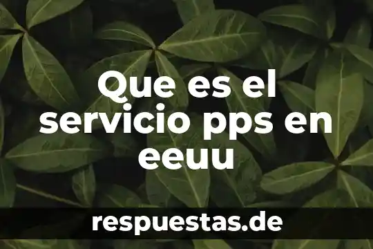 Que es el servicio smb 5 Que es el servicio pps en eeuu