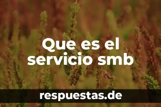 Que es el servicio pps en eeuu 5 Que es el servicio smb