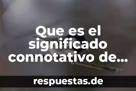 Qué es una palabra distributiva 4 Que es el significado connotativo de una palabra