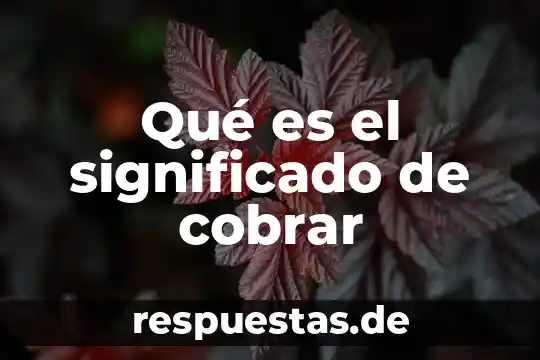 Contabilidad que es documento por cobrar 8 Qué es el significado de cobrar