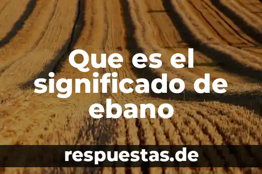Que es yn servicio 4 Que es el significado de ebano