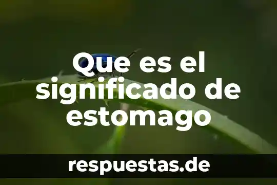 Que es un esfínter y cuales hay en el estómago 7 Que es el significado de estomago