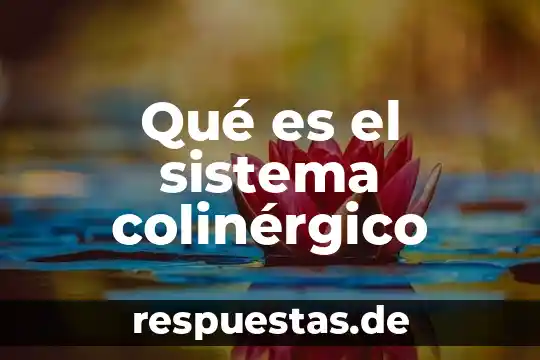 Qué es sistema de numeración griego 8 Qué es el sistema colinérgico
