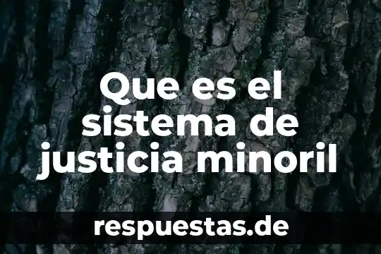 Que es el sistema de justicia minoril