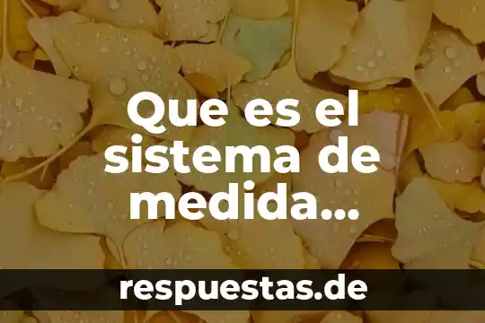 Que es la carrera comercio internacional 4 Que es el sistema de medida internacional