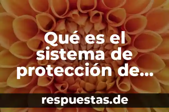 Qué es suptema en una tabla de datos 3 Qué es el sistema de protección de datos