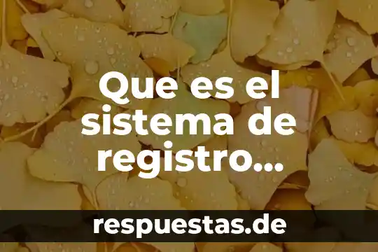 Que es el sistema de registro electronico
