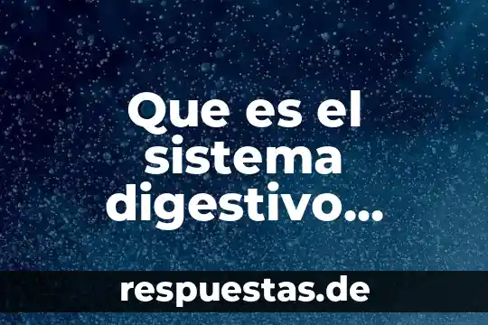 Que es la función del sistema digestivo yahoo 8 Que es el sistema digestivo partes