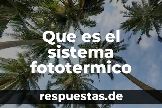 Que es sistema ventral 6 Que es el sistema fototermico