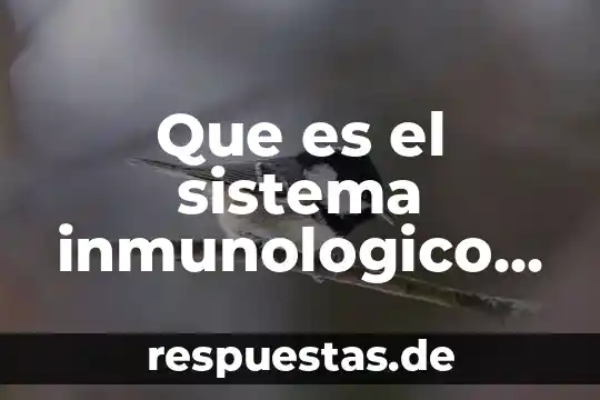 Que es el sistema inmunologico como es el procrso inmunologico 3 Que es el sistema inmunologico como se favorece su funcionamiento