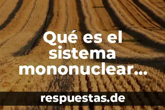 Qué es sistema animal y conformación 7 Qué es el sistema mononuclear fagocítico