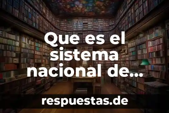 Que es la justicia aplicada en la salud 3 Que es el sistema nacional de salud