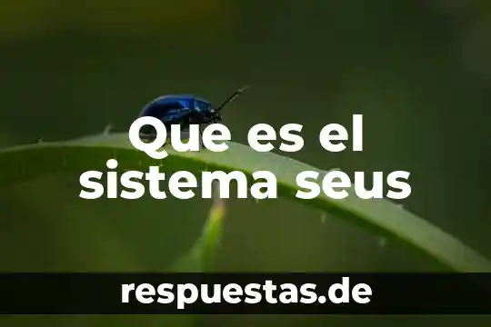 Parte del animal que es el new york 8 Que es el sistema seus