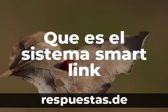 Qué es sistema animal y conformación 3 Que es el sistema smart link