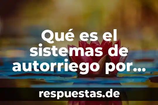 Modelado de sistemas que es un compensador 7 Qué es el sistemas de autorriego por goeo