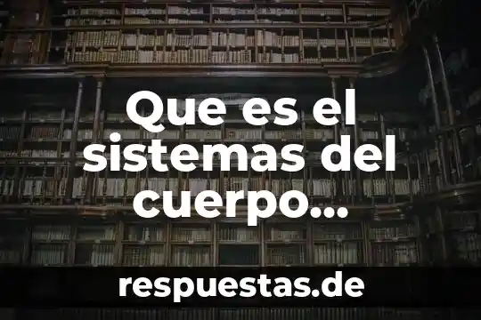 Que es el ser humano para blas pascal 4 Que es el sistemas del cuerpo humano