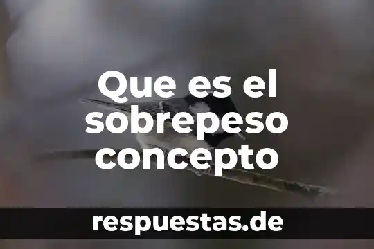 Que es concepto colores 3 Que es el sobrepeso concepto