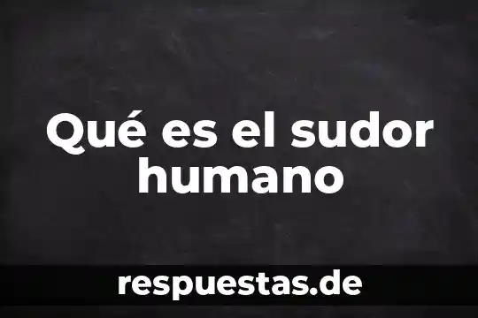 Que es un ente humano 4 Qué es el sudor humano