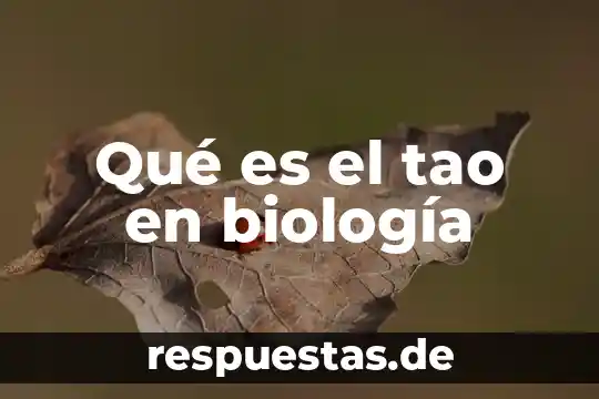 Qué es presa en biologia 7 Qué es el tao en biología