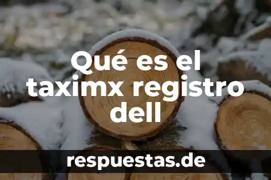 Qué es el taximx registro dell