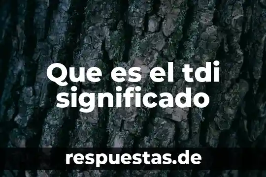 Qué es un terremoto e información 8 Que es el tdi significado