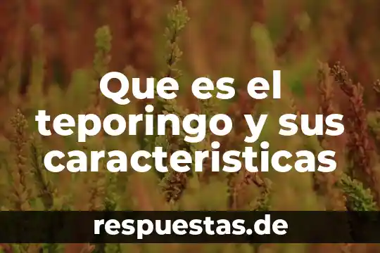 Que es la sociedad cooperativa y sus caracteristicas 7 Que es el teporingo y sus caracteristicas